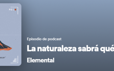 «La Naturaleza sabrá que hacer» – Pirry